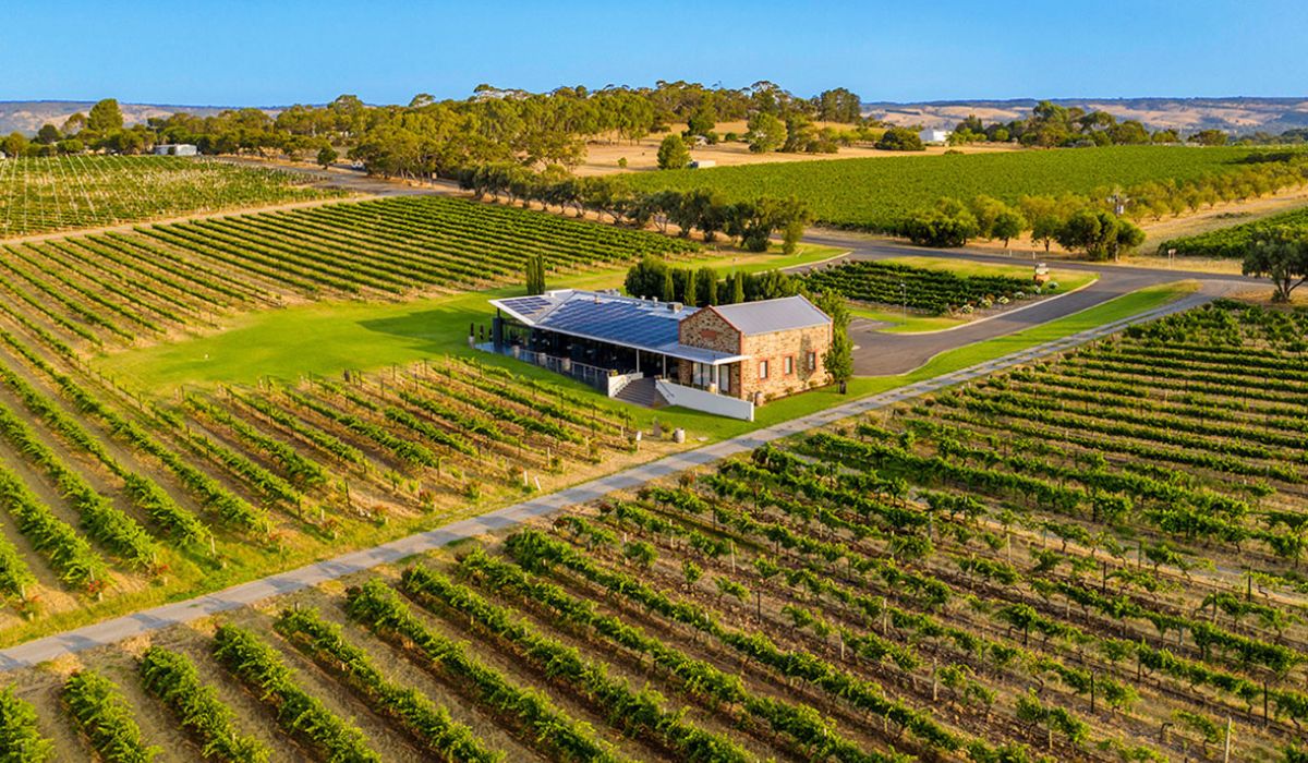 Angove Wines cellar door surrounded by its vineyard.